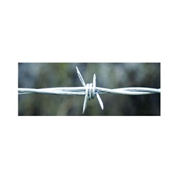 Barbed Wire