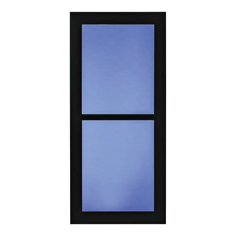 14604052 Storm Door, Black