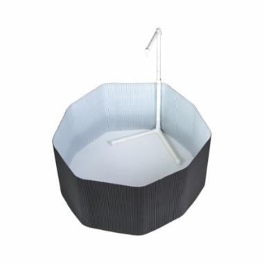 Bird Cages & Accessories