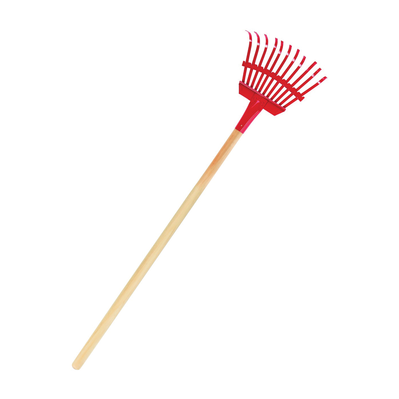 Poultry Egg Care & Accessories