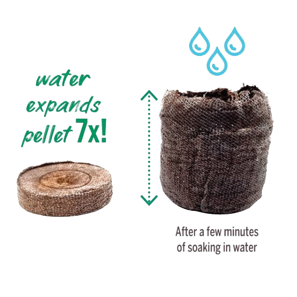 J336GS Seed Starting Greenhouse Kit