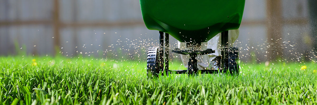 CompareFertilizer_LP