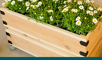 Build a DIY Rolling Planter