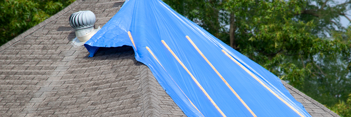 LP-Hurricane-Recovery