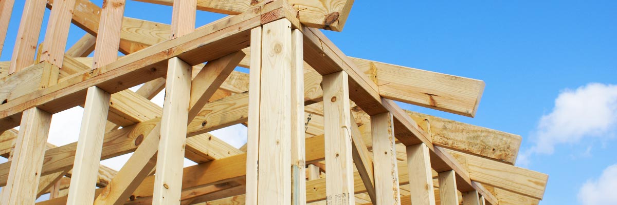 McCoy's Serves the Pros