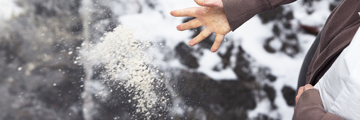 SaltingWalkways-Hack_LP