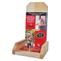 Squirrel Feeders & Food